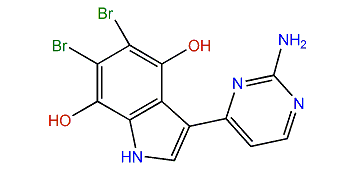 Meridianin U